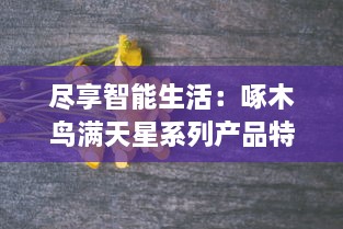 尽享智能生活：啄木鸟满天星系列产品特点全解析，为你的生活增添无尽灵动魅力