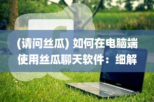 (请问丝瓜) 如何在电脑端使用丝瓜聊天软件：细解主题设置步骤及技巧