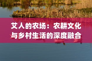 艾人的农场：农耕文化与乡村生活的深度融合与环保理念实践的探索