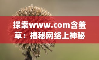 探索www.com含羞草：揭秘网络上神秘而不可思议的自然奇观 v3.7.5下载