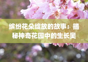 缤纷花朵绽放的故事：揭秘神奇花园中的生长奥秘与动人情感纽带