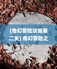 (奇幻冒险攻略第二关) 奇幻冒险之旅：神秘国度中的魔法棋兵与终极对决的史诗故事