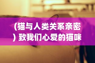 (猫与人类关系亲密) 致我们心爱的猫咪：揭秘人与猫之间甜蜜亲吻的深层意义与影响