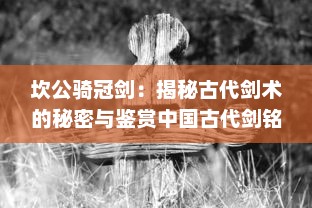 坎公骑冠剑：揭秘古代剑术的秘密与鉴赏中国古代剑铭文化的传世之作 v8.5.9下载