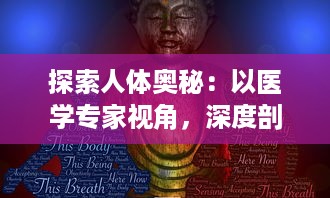 探索人体奥秘：以医学专家视角，深度剖析最原始的方式进入宁静神秘的大肠之旅 v1.3.7下载