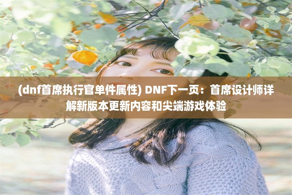 (dnf首席执行官单件属性) DNF下一页：首席设计师详解新版本更新内容和尖端游戏体验