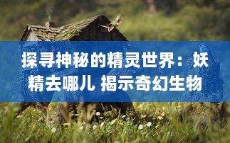 探寻神秘的精灵世界：妖精去哪儿 揭示奇幻生物的秘密旅行与生存之道