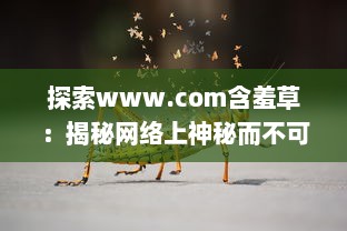 探索www.com含羞草：揭秘网络上神秘而不可思议的自然奇观 v9.2.9下载