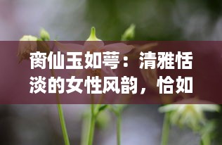 脔仙玉如萼：清雅恬淡的女性风韵，恰如白玉新莹萼初破的花瓣 v3.8.5下载