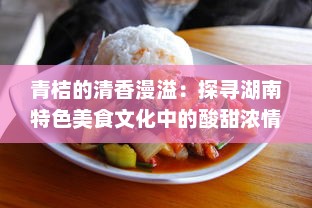 青桔的清香漫溢：探寻湖南特色美食文化中的酸甜浓情 v0.3.3下载