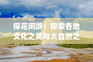 探花闲游：探索各地文化之美与大自然之秘的深度游记 v2.1.7下载