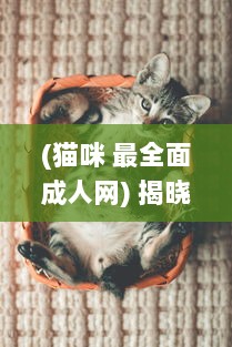 (猫咪 最全面成人网) 揭晓2022年最新列表：全球各地区最受欢迎的成人猫咪网名一览