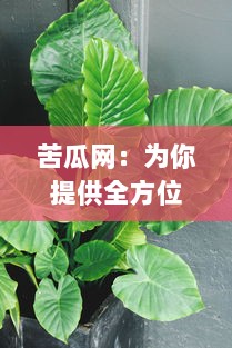 苦瓜网：为你提供全方位的健康饮食指导，助力绿色生活方式的倡导和推广