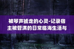 被琴声掳走的心灵-记录宿主被管满的日常临海生活与音乐故事的种种瞬间 v8.0.1下载