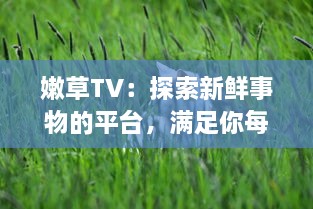 嫩草TV：探索新鲜事物的平台，满足你每一处好奇，爱上独特创意的绝佳地方