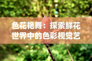 色花艳舞：探索鲜花世界中的色彩视觉艺术与自然生态之美的全新解读 v6.5.4下载