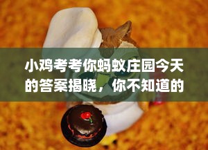 小鸡考考你蚂蚁庄园今天的答案揭晓，你不知道的农场小知识竟然是这些