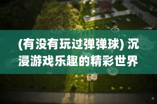 (有没有玩过弹弹球) 沉浸游戏乐趣的精彩世界：玩弹去OL打造全新体验式手游玩法