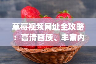 草莓视频网址全攻略：高清画质、丰富内容，满足您所有在线观看需求