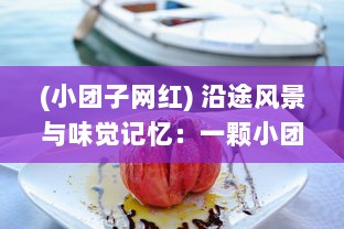 (小团子网红) 沿途风景与味觉记忆：一颗小团子的奇幻美食旅行故事