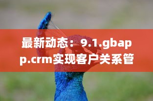 最新动态：9.1.gbapp.crm实现客户关系管理突破，如何提升企业效率与客户满意度? v3.9.4下载