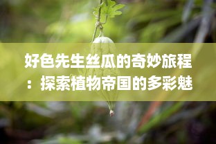 好色先生丝瓜的奇妙旅程：探索植物帝国的多彩魅力与神秘内在世界 v7.0.0下载