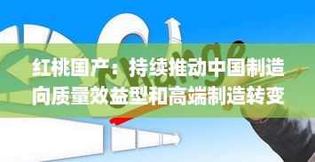 红桃国产：持续推动中国制造向质量效益型和高端制造转变的创新之路