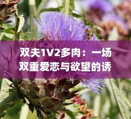 双夫1V2多肉：一场双重爱恋与欲望的诱惑漩涡，让人欲罢不能的情感纠葛 v9.2.0下载