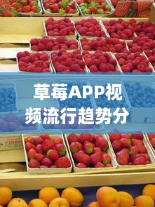 草莓APP视频流行趋势分析：解锁2021年最新视频风格及用户喜好深度解析 v3.7.7下载