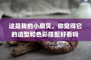 这是我的小扇贝，你觉得它的造型和色彩搭配好看吗 v9.1.9下载