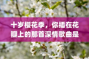 十岁樱花季，你插在花瓣上的那首深情歌曲是什么：一段青春记忆的音符流转