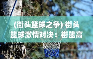 (街头篮球之争) 街头篮球激情对决：街篮高手的挑战、成长与梦想之路