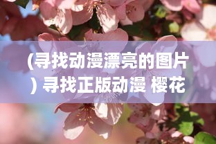 (寻找动漫漂亮的图片) 寻找正版动漫 樱花动漫官方正版入口介绍与指南