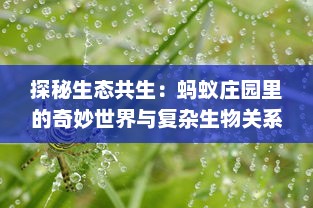 探秘生态共生：蚂蚁庄园里的奇妙世界与复杂生物关系 v1.7.1下载