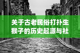 关于古老民俗打扑生猴子的历史起源与社会影响 - 农村生活的狙击者，古代农耕经济的象征 v7.0.4下载