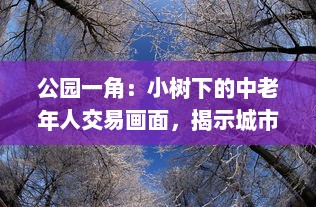 公园一角：小树下的中老年人交易画面，揭示城市生活中不为人知的一面图片集展示