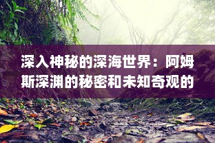 深入神秘的深海世界：阿姆斯深渊的秘密和未知奇观的科学探索之旅