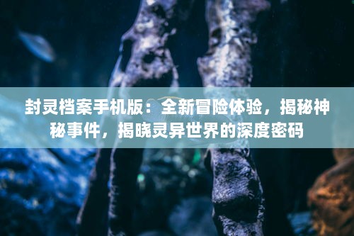 封灵档案手机版：全新冒险体验，揭秘神秘事件，揭晓灵异世界的深度密码