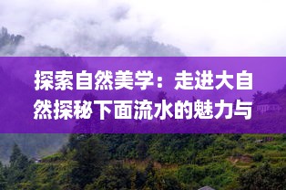 探索自然美学：走进大自然探秘下面流水的魅力与秘密的全景高清视频