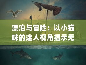 漂泊与冒险：以小猫咪的迷人视角揭示无尽大海的奥秘，猫咪航海记