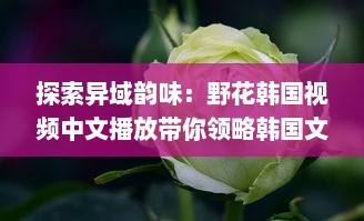 探索异域韵味：野花韩国视频中文播放带你领略韩国文化之美 v8.9.2下载