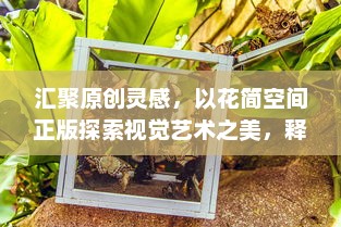 汇聚原创灵感，以花简空间正版探索视觉艺术之美，释放创意无限可能。