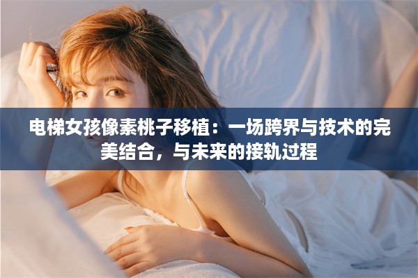 电梯女孩像素桃子移植：一场跨界与技术的完美结合，与未来的接轨过程