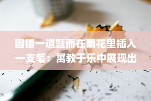 因错一道题而在菊花里插入一支笔：寓教于乐中展现出的对细节的执着追求