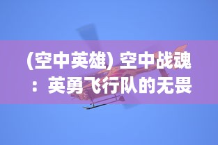 (空中英雄) 空中战魂：英勇飞行队的无畏翱翔与壮志凌云的生死激战