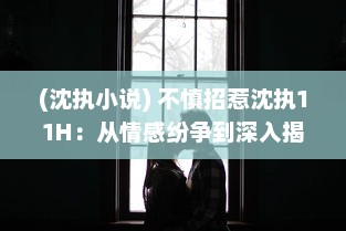 (沈执小说) 不慎招惹沈执11H：从情感纷争到深入揭秘他的不为人知的彩色人生