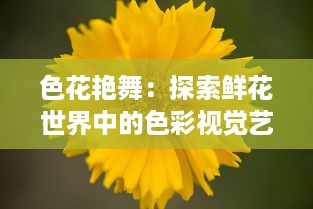 色花艳舞：探索鲜花世界中的色彩视觉艺术与自然生态之美的全新解读