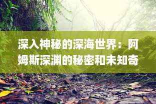 深入神秘的深海世界：阿姆斯深渊的秘密和未知奇观的科学探索之旅