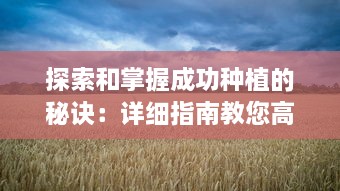 探索和掌握成功种植的秘诀：详细指南教您高效吸小花园的方法