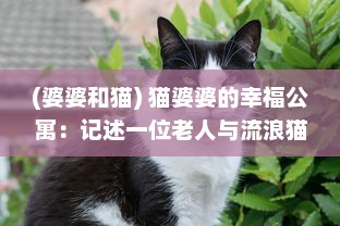 (婆婆和猫) 猫婆婆的幸福公寓：记述一位老人与流浪猫群的感动共生故事